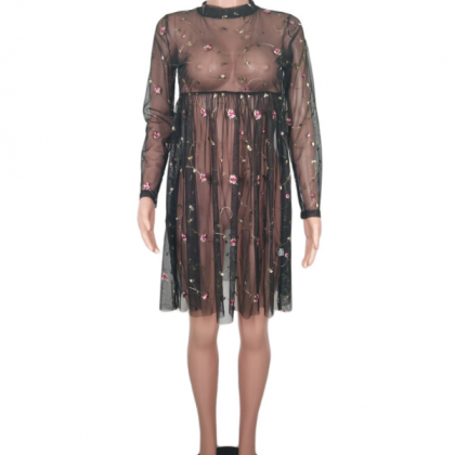 Sexy Loose Mesh Embroidered Dress
