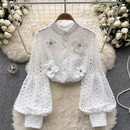 Lace Long Sleeved Solid Color Shirt Top