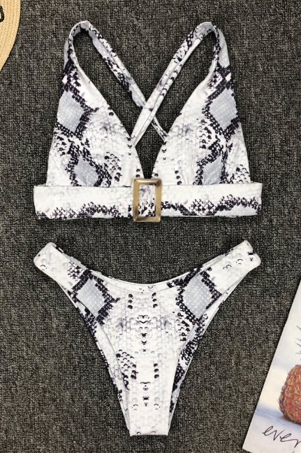 Snake Print Sexy Bikini Split Swimsuit Set