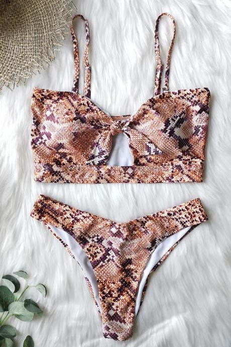Backless Sexy Leopard Print Bikini Swimsuit