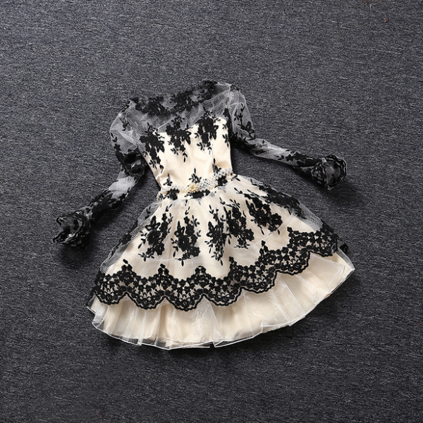 Embroidered Long Sleeve Round Neck Mini Dress main image 1